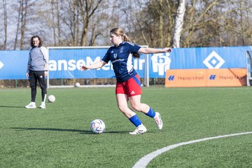 Bild 89 - F Hamburger SV 3 - Blau-Weiss 96 : Ergebnis: 5:1
